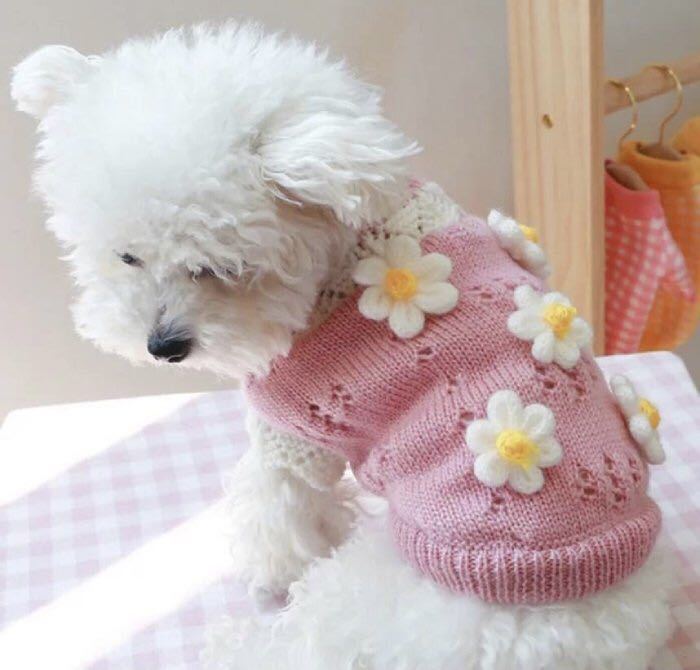 犬服 冬 おしゃれ かわいい あたたかい 犬 ニット セーター 小型犬 犬の服 花柄_画像2