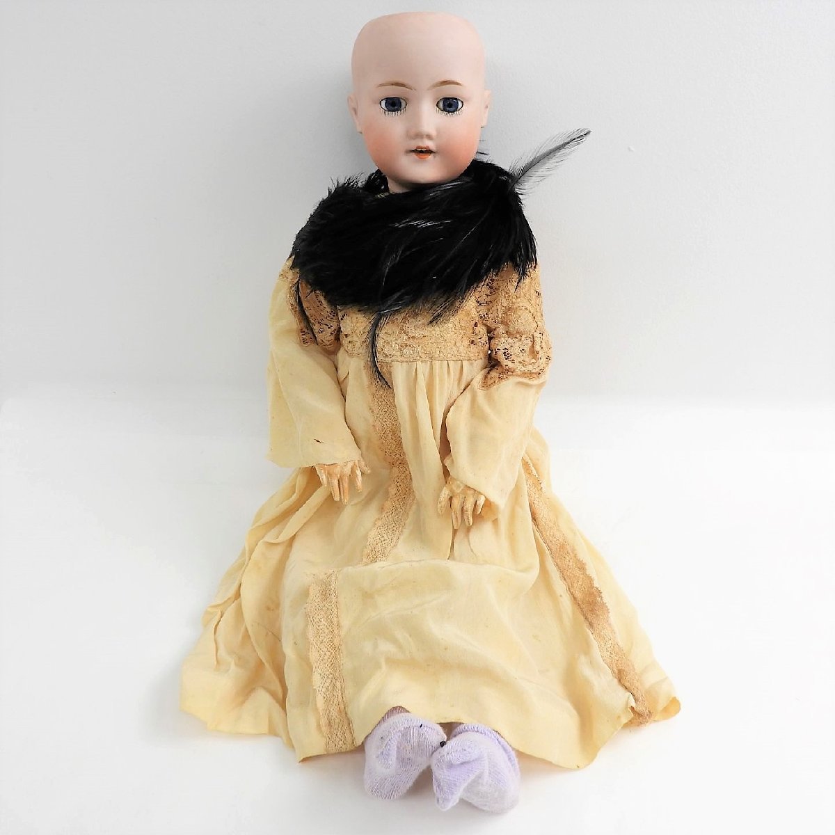 格安新品 kanimbandung モリムラドール MB - Japan 6 - www.ehrenamt