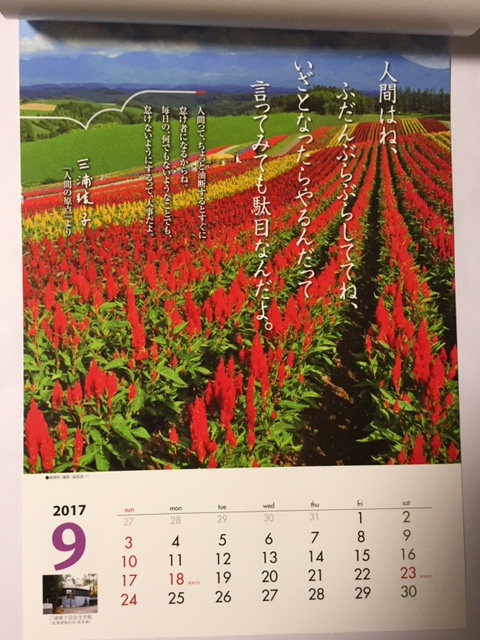 中面サンプル その1