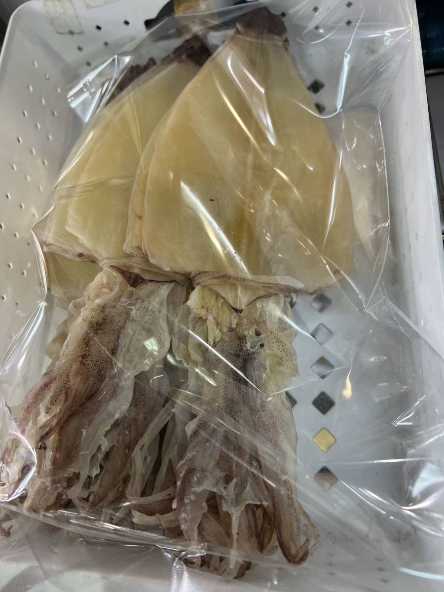 .. тихоокеанский кальмар 500g (1 листов 25~40g) сушеный кальмар .. Hokkaido производство уникальная вещь тихоокеанский кальмар 