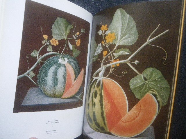  fruits .* fruit . foreign book yellowtail tanikaThe Book of Fruits The Complete Pomona Britannica fruit . map .