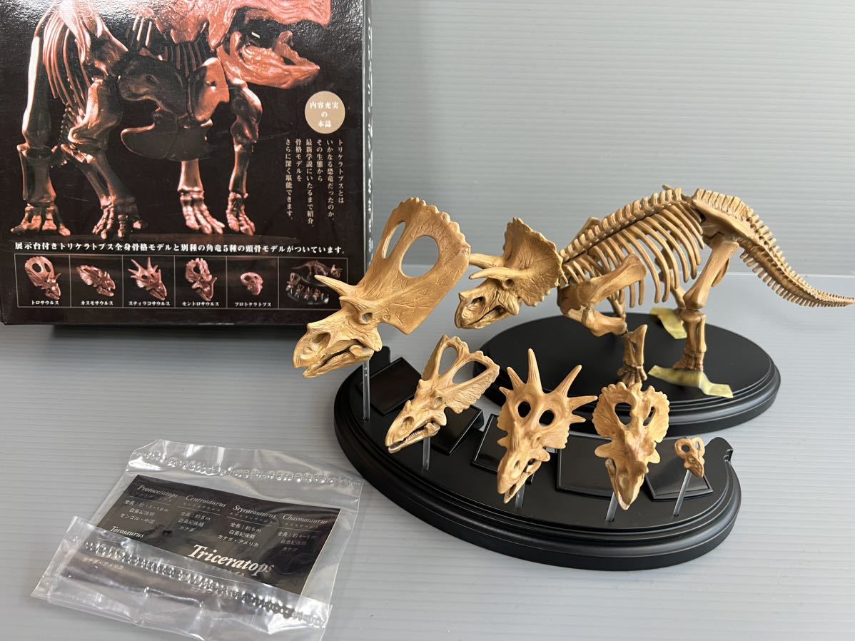 1／35 学研　　恐竜骨格モデル　　トリケラトプス　　その他　　プロトケラトプス　　スティラコサウルス　　トロサウルス　　完成品_画像10