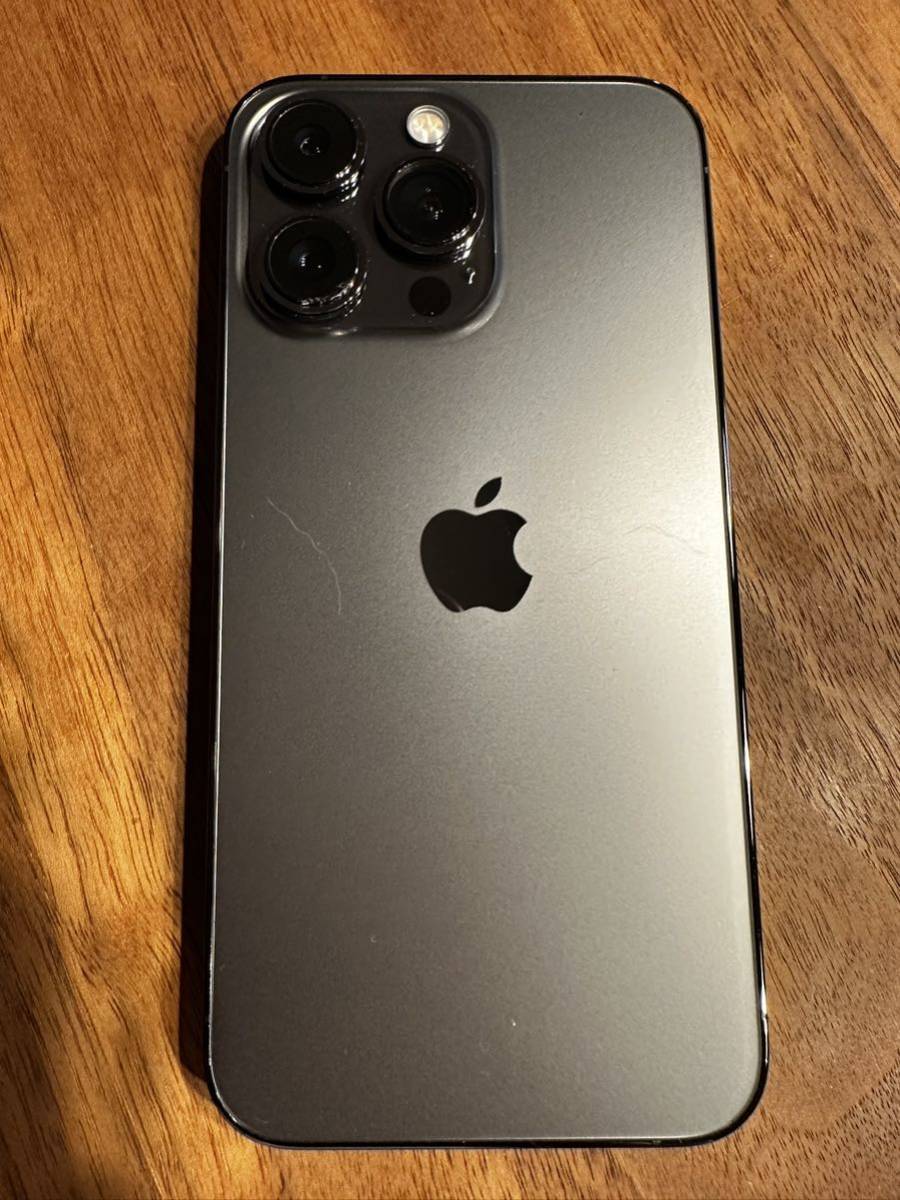 iPhone 13 Pro 256GB グラファイト 純正ケース付き beneprojetodevida