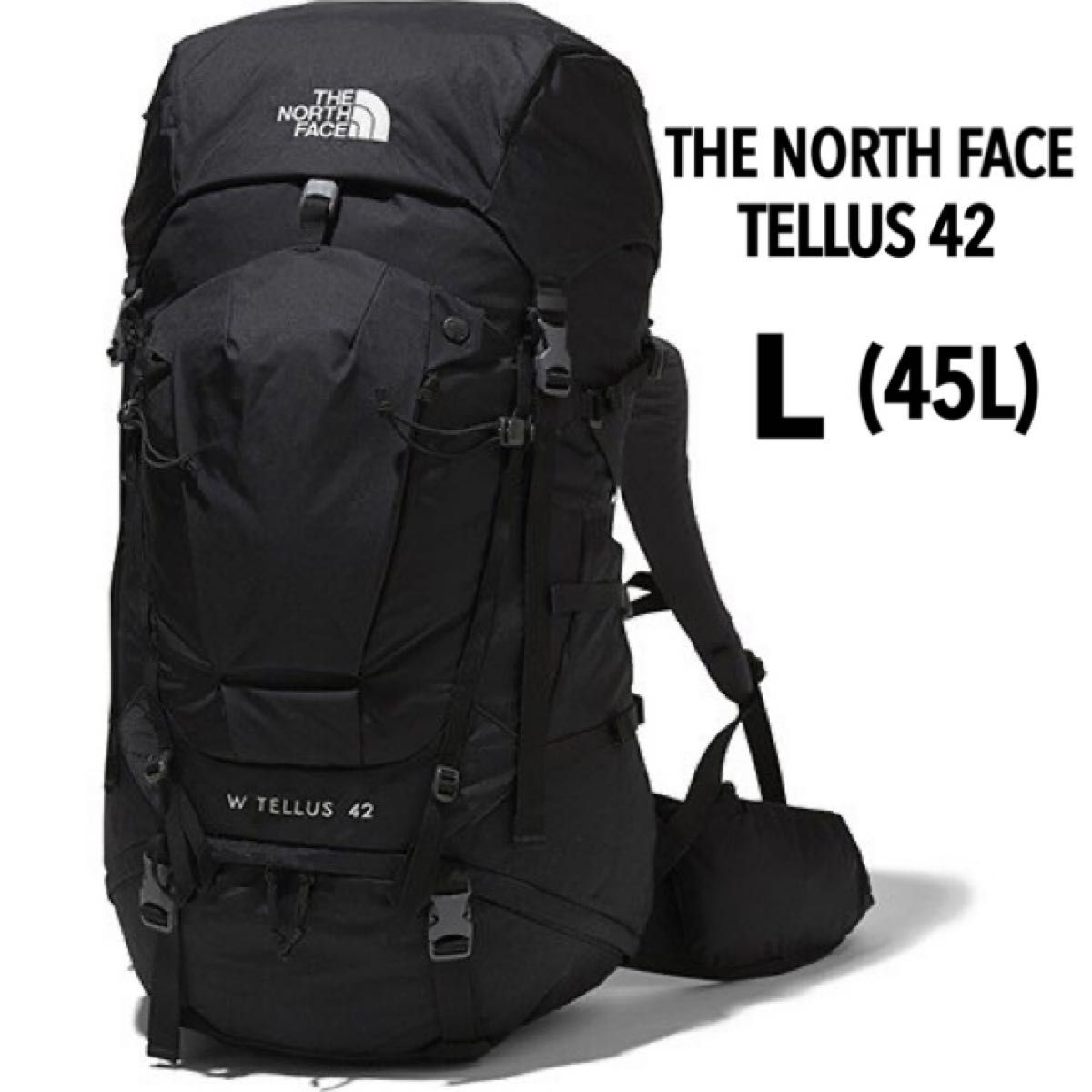 THE NORTH FACE ザ・ノースフェイス テルス42 Lレディース アウトドア