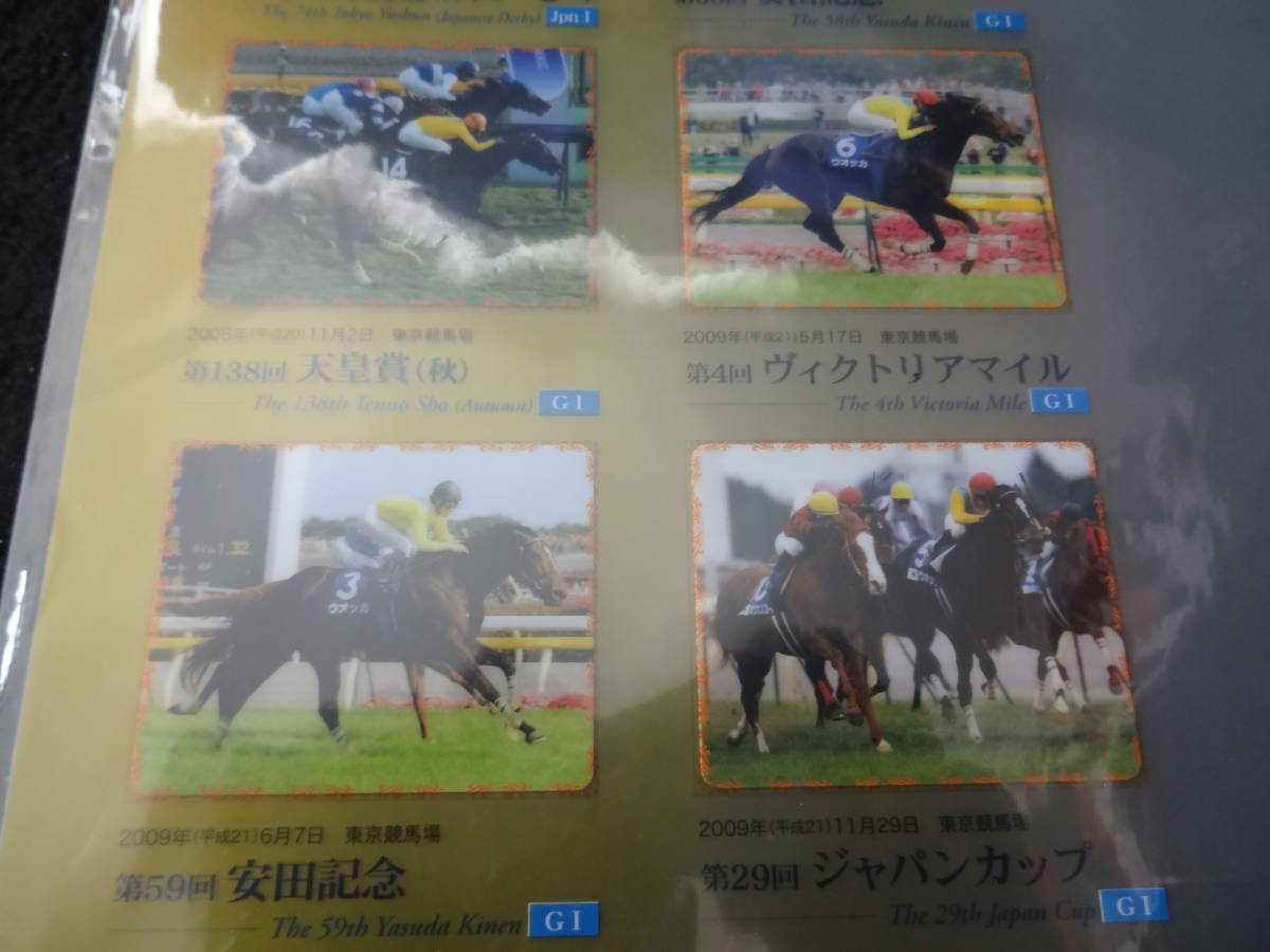 ウオッカ 顕彰場クリアファイル 東京競馬場 JRA 競馬博物館 イベント配布品 ジュベナイル ダービー 安田記念 天皇賞 ジャパンカップ_画像4