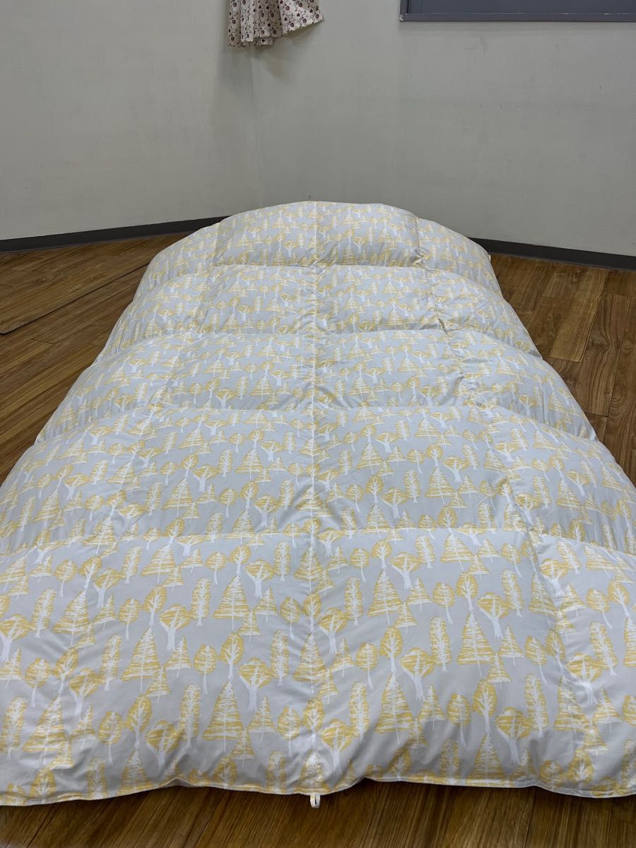 当季大流行 【新品未使用品】羽毛掛ふとん 羽毛布団 シングル シングル