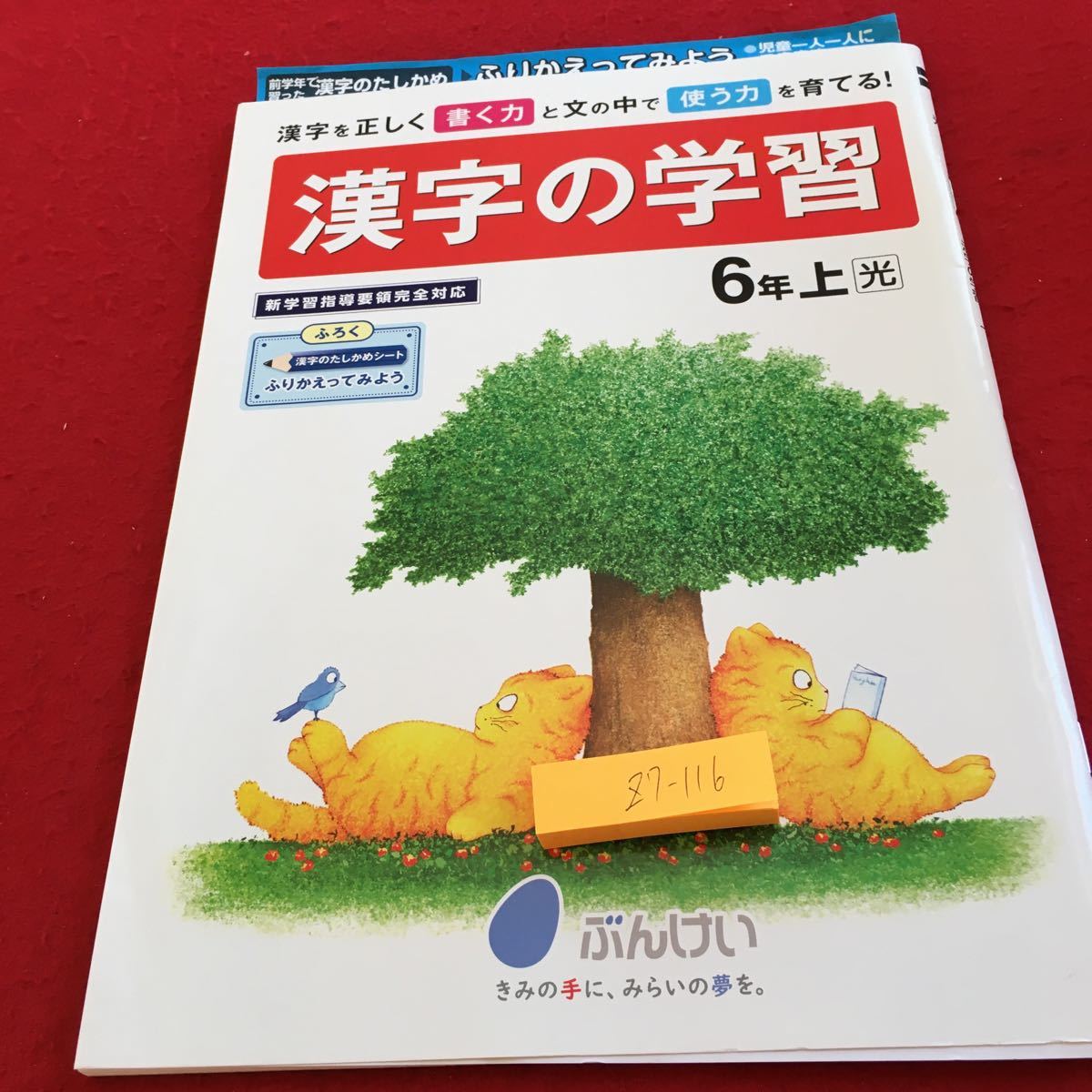 Z7-116 漢字の学習 6年生 ドリル 計算 テスト プリント 予習 復習 国語 算数 理科 社会 英語 家庭科 家庭学習 非売品 文溪堂_画像1