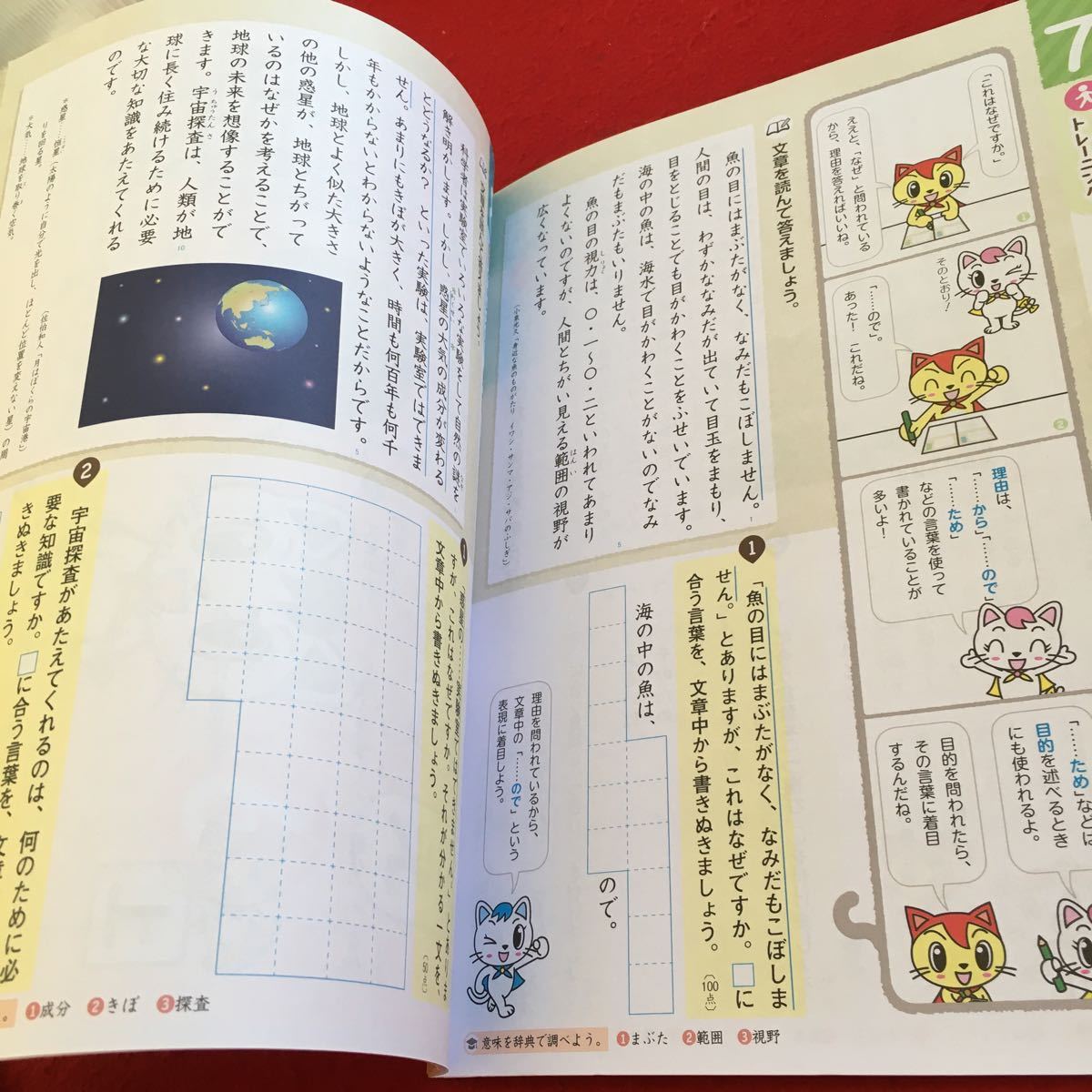 Z7-137 あかねこ よくわかる読解スキル 6年生 ドリル 計算 テスト プリント 予習 復習 国語 算数 理科 家庭学習 非売品 光村教育図書 _画像3