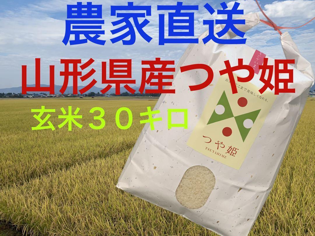 新米!精米無料!色彩選別!特別栽培!山形県産令和4年産つや姫30キロ