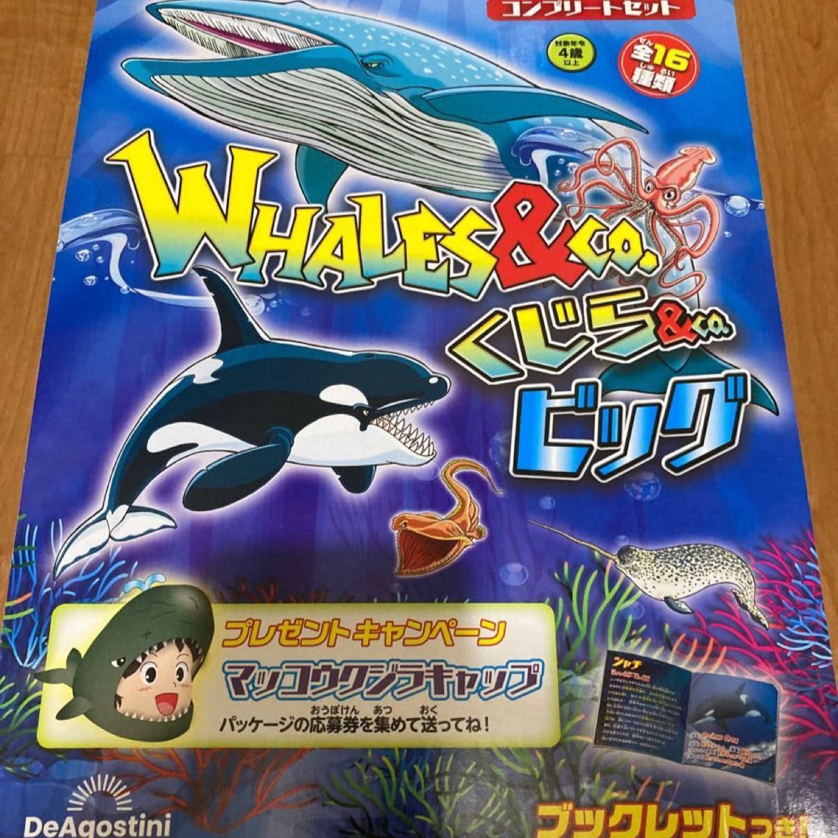 WHALES&CO くじら&co ビッグ ディアゴスティーニ コンプリート WHALES&CO くじら&co ビッグ ディアゴスティーニ コンプリート