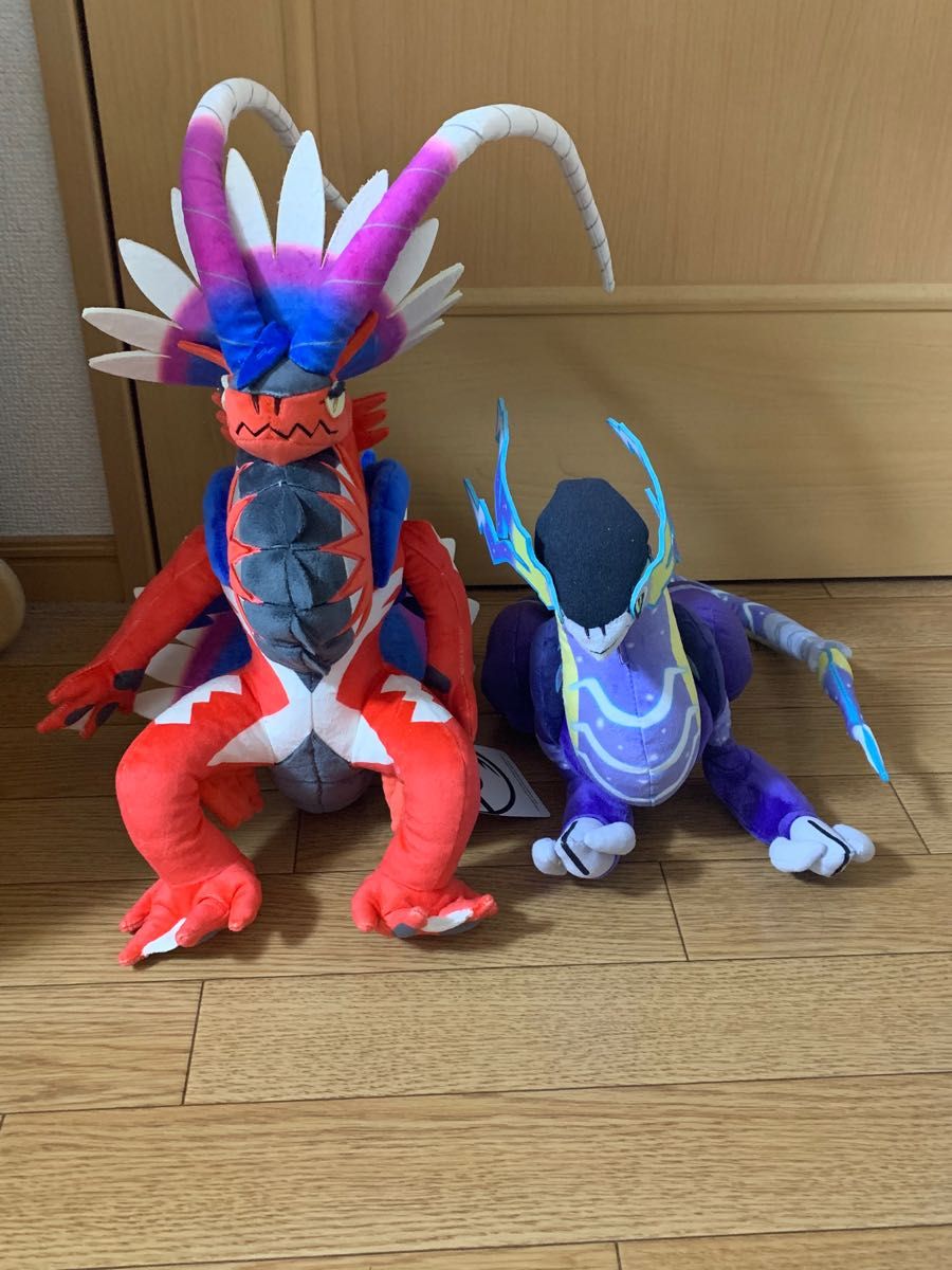 新作からSALEアイテム等お得な商品満載 コライドン ミライドン