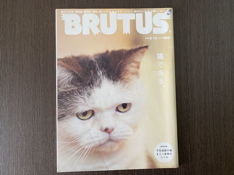 brutus 猫である。_画像1