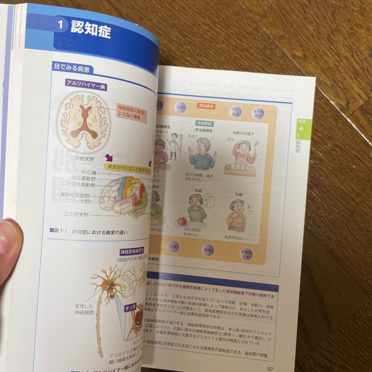 生活機能からみた老年看護過程＋病態・生活機能関連図 （生活機能からみた（第３版） 山田律子／編集　萩野悦子／編集　内ケ島伸也／編集