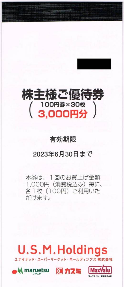 Yahoo!オークション - U.S.M.Holdings 株主優待券3000円分（10...