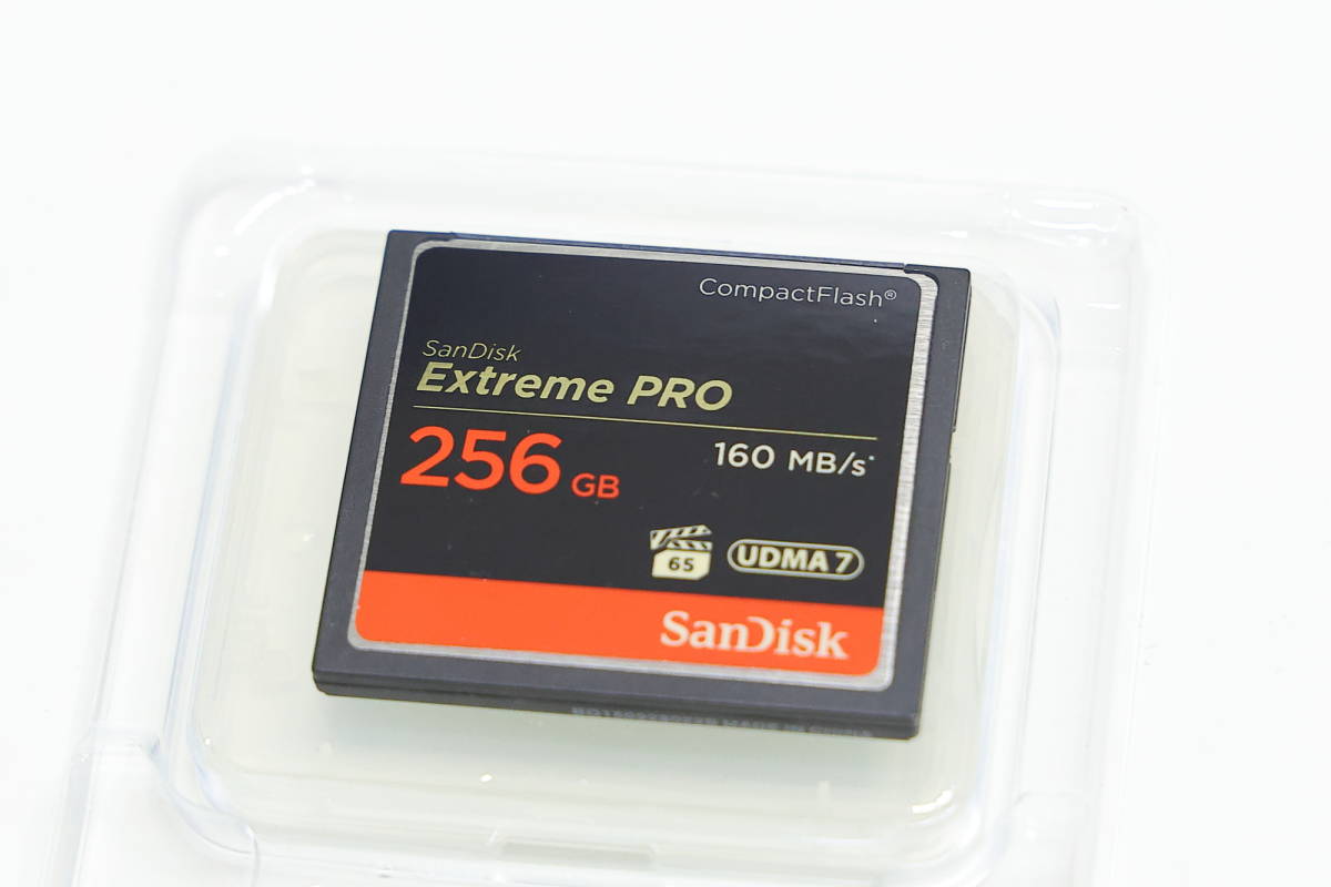 驚きの価格が実現 SanDisk cf CFカード Memory 2点セット chouja.fishing