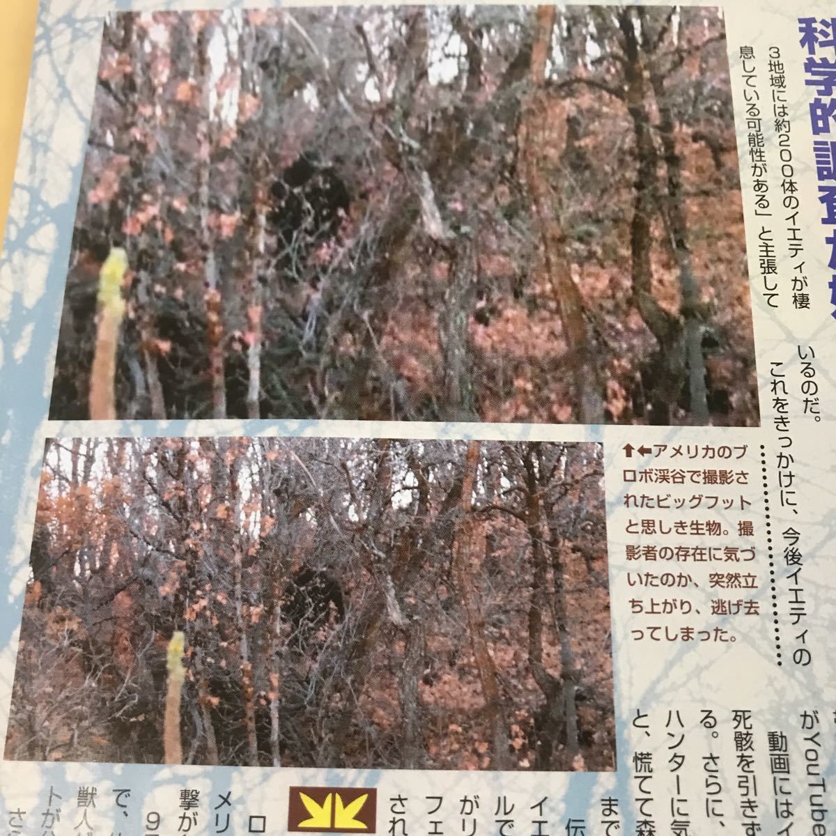 C03- 037 SUPER MYSTERY MAGAZINE ムー MU 2013 １月 /月刊 伊勢神宮・出雲大社 年式遷宮 大予言 第386号 学研 _画像8