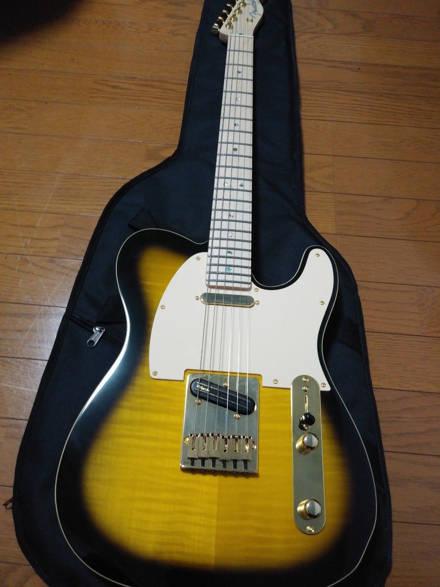 大海物語 リッチーコッツェンモデル テレキャスター Fender Japan