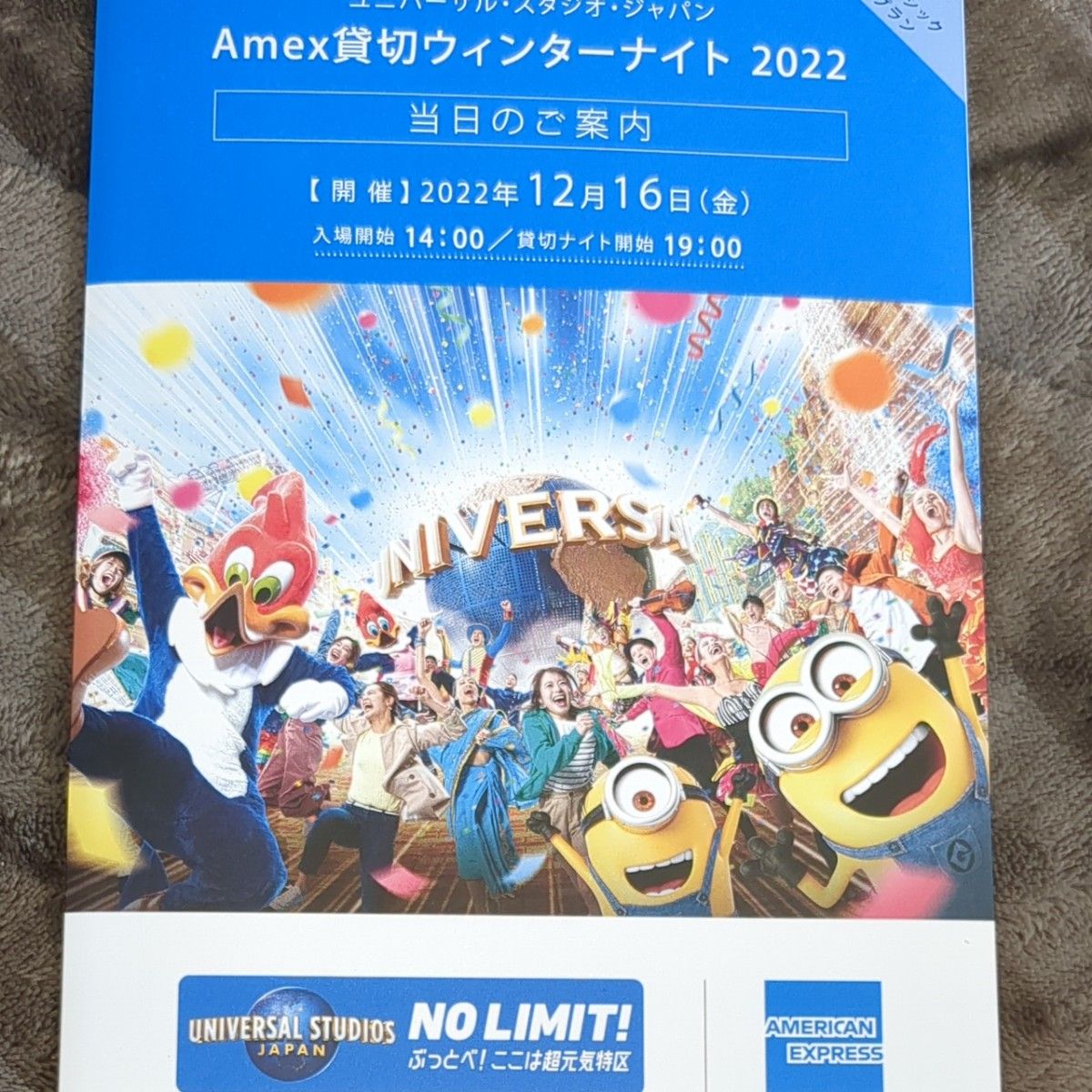 税込) ユニバーサルスタジオジャパンUSJ貸切ペアチケット 12 16金 限定