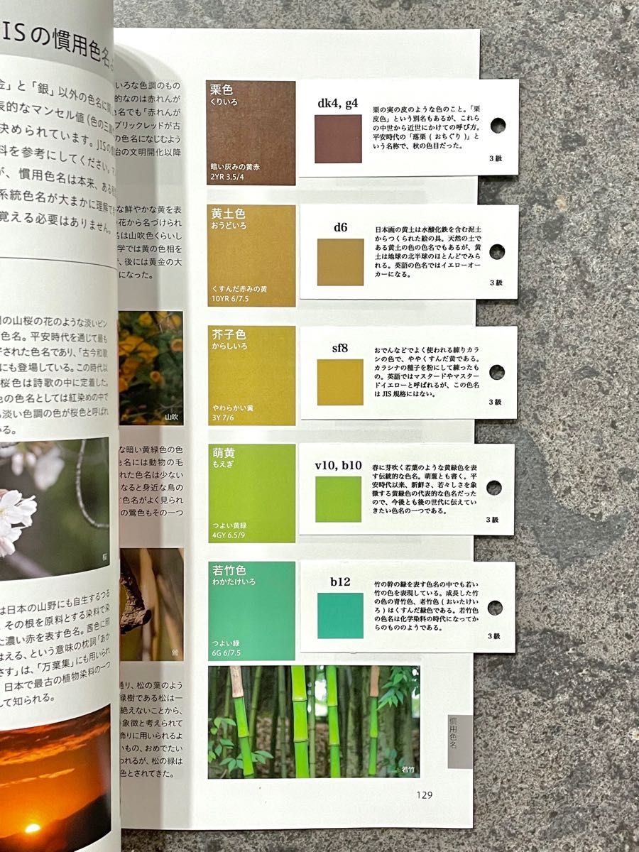 価格交渉可】色彩検定 1級・2級・3級対応 慣用色名暗記カード(色標本