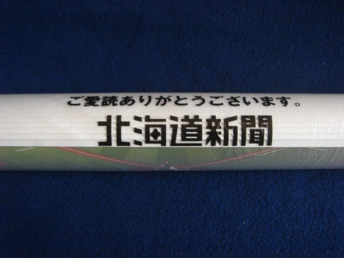 ご予約品 北海道日本ハムファイターズカレンダー2023 ubat.fr