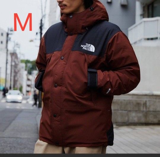 ザ ノース フェイス THE NORTH FACE Mountain Down Jacket(マウンテンダウンジャケット) 