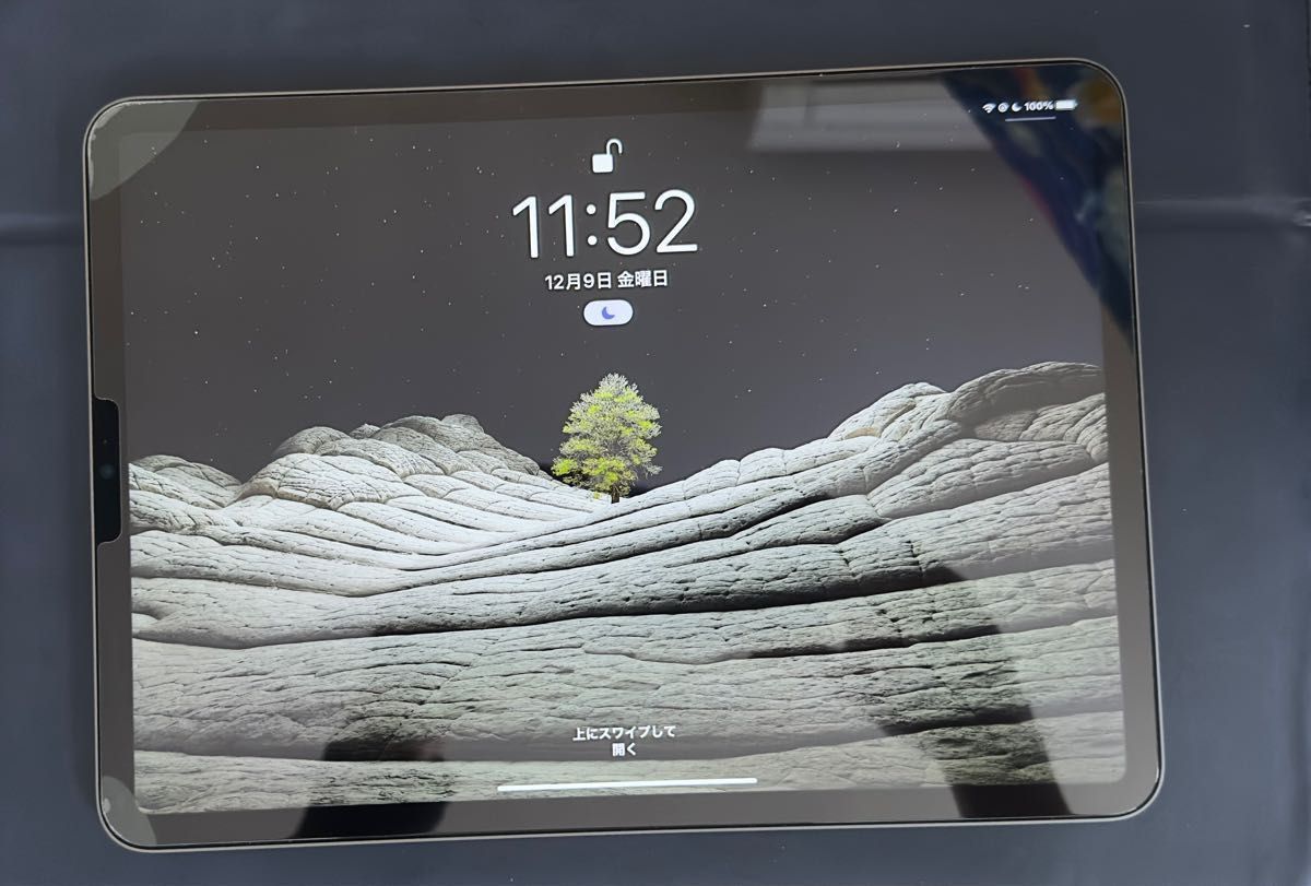 最安 iPad Pro第2世代12.9 256GB WiFiモデル 金曜日までの販売 econet.bi