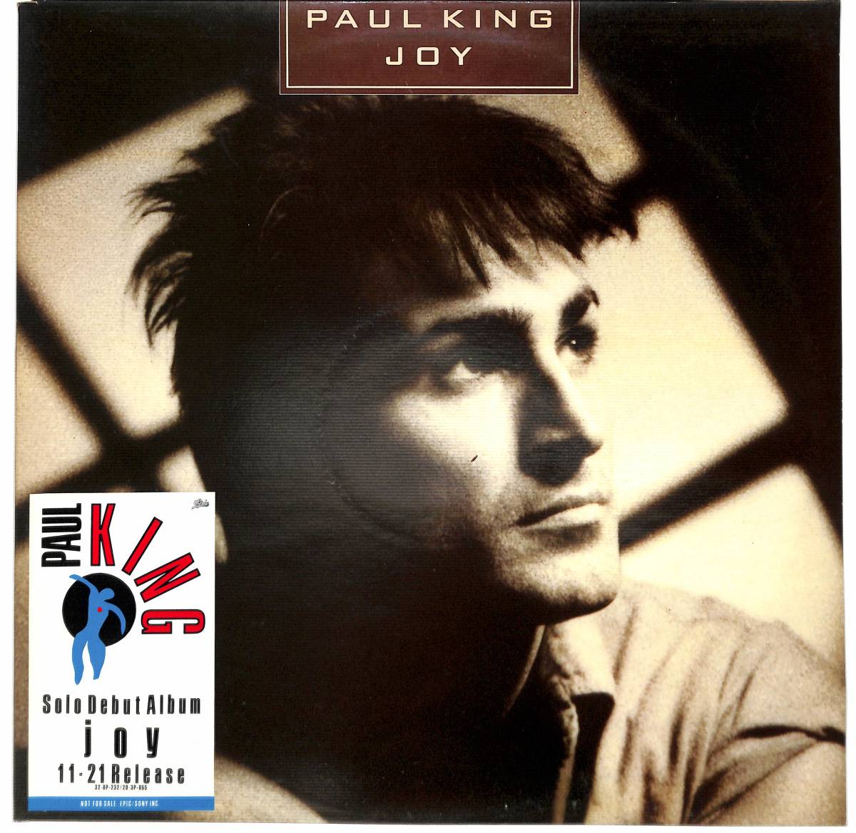 c9528/LP/英/Paul King/Joy_画像1