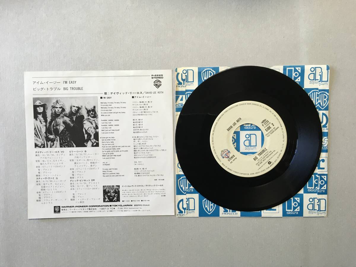 送料無料 デビッドリーロス 輸入盤 新品未使用 レコード アナログ 1994