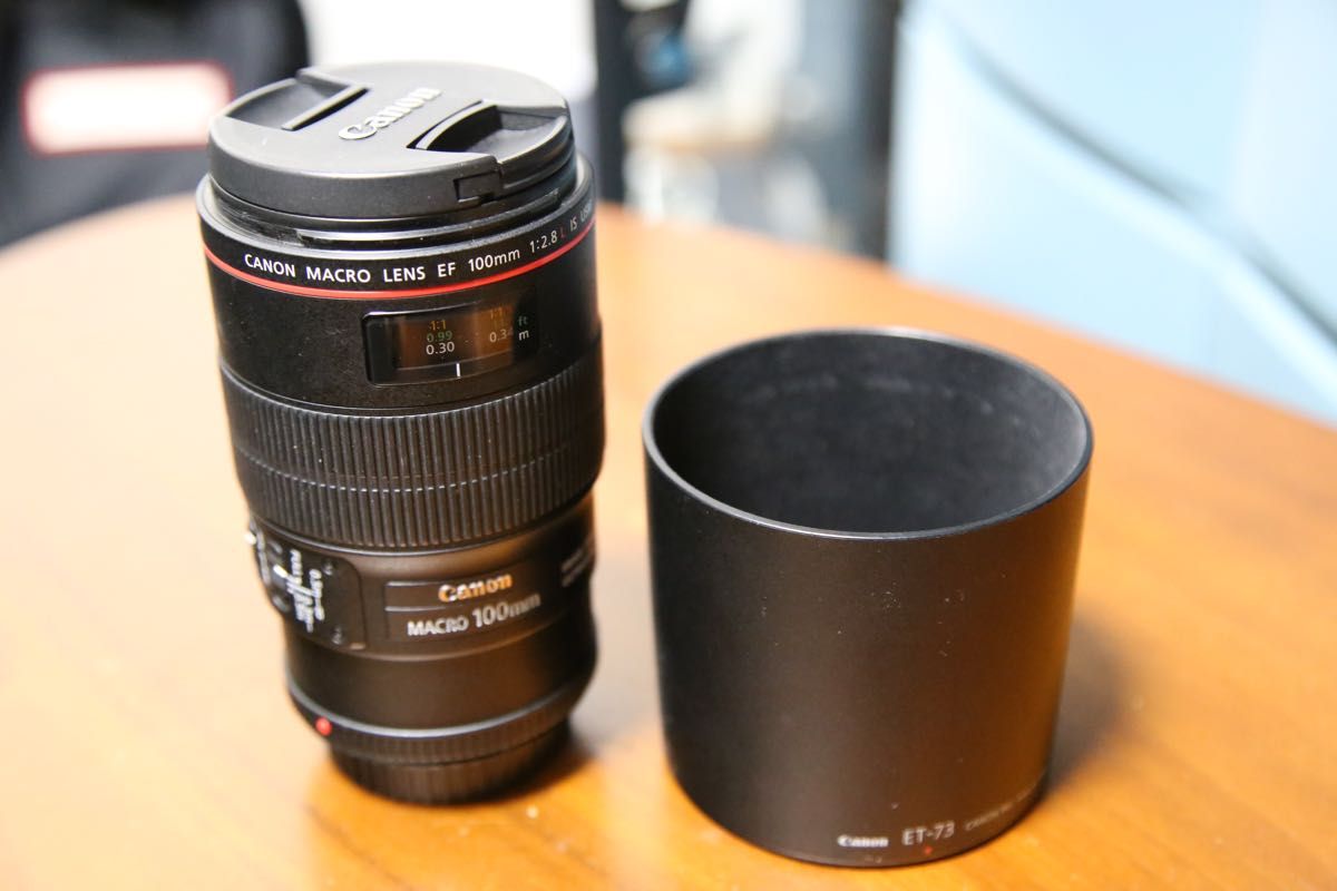 Canon EFレンズ 100mm F2.8 L IS USM マクロ | www.jarussi.com.br