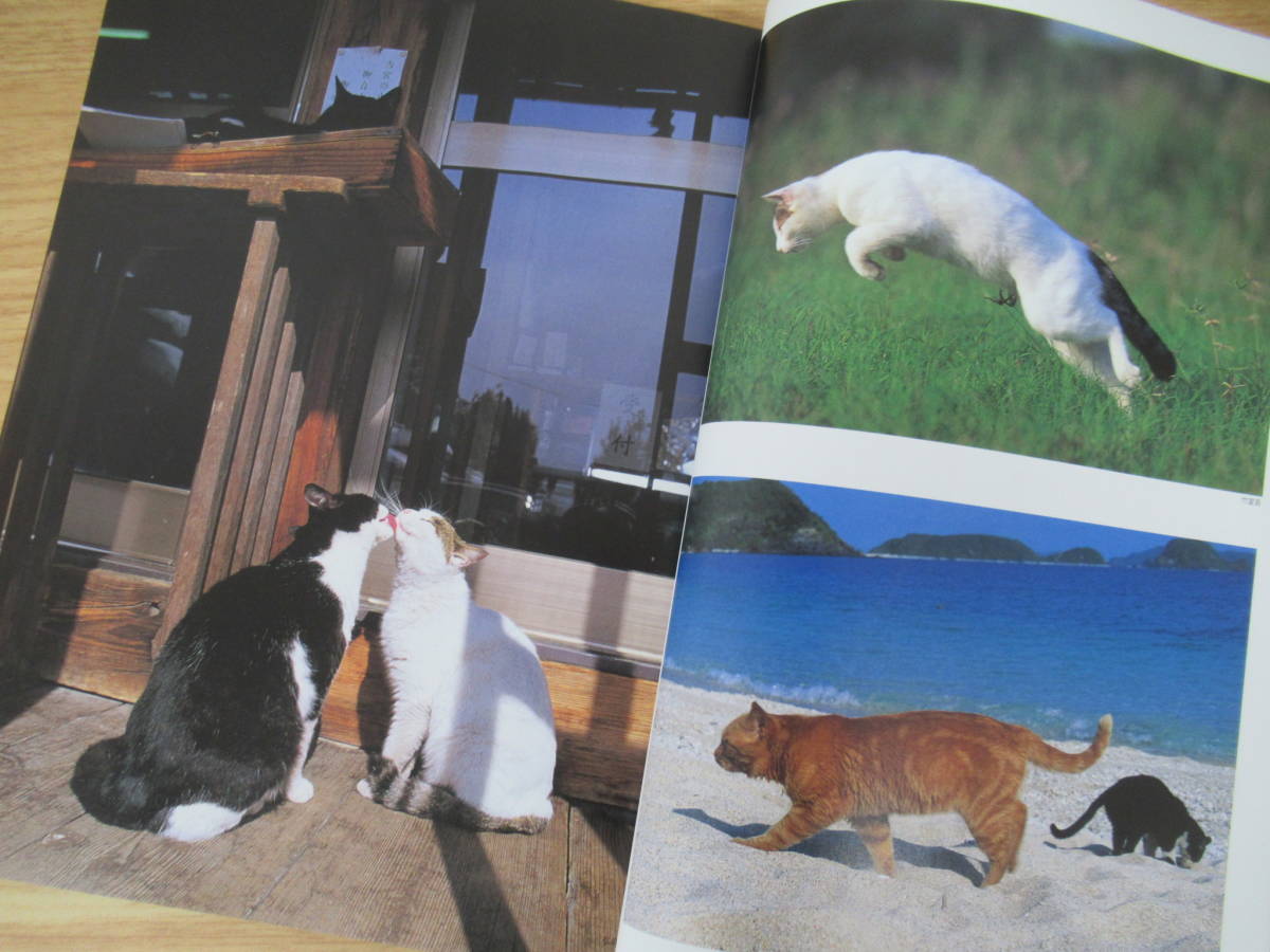 c1-5( кошка ...)62 шт. комплект 2000 год ~2012 год No.1~No.62 номер календарь имеется иметь Япония выпускать фирма .. журнал кошка .... фильм 100