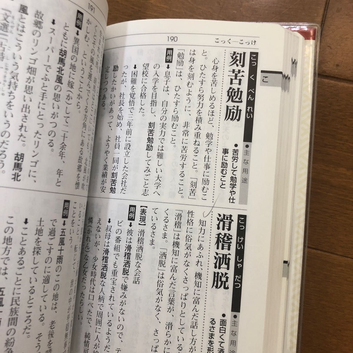 大きい活字の四字熟語辞典 新星出版社編集部／編