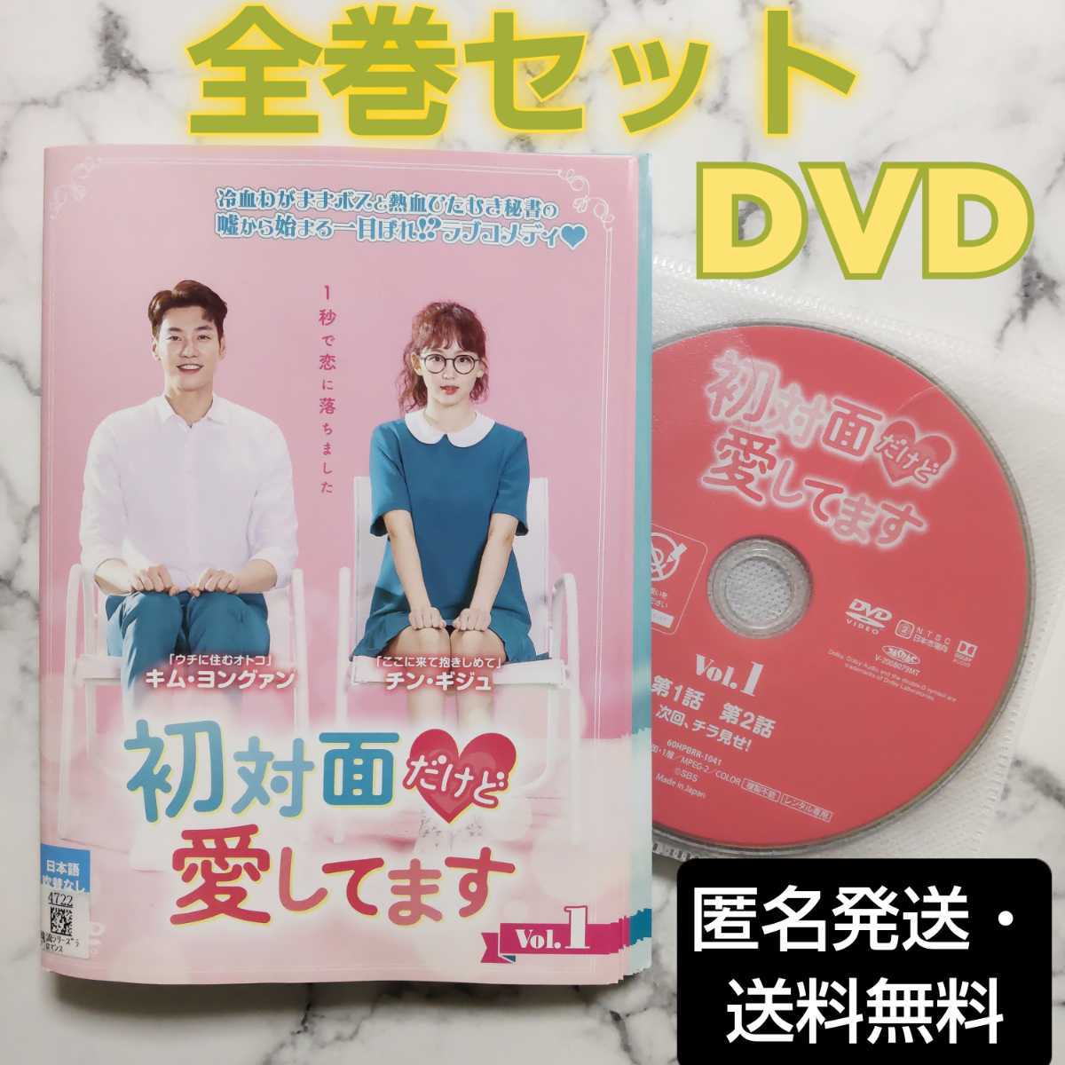 キム・ヨングァン★チン・ギジュ『初対面だけど愛してます』レンタル落ちDVD★全巻★韓国ドラマ