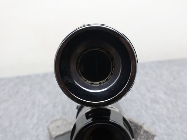 モンスター M821 テルミニョーニ ステン/カーボン スリップオン テルミ