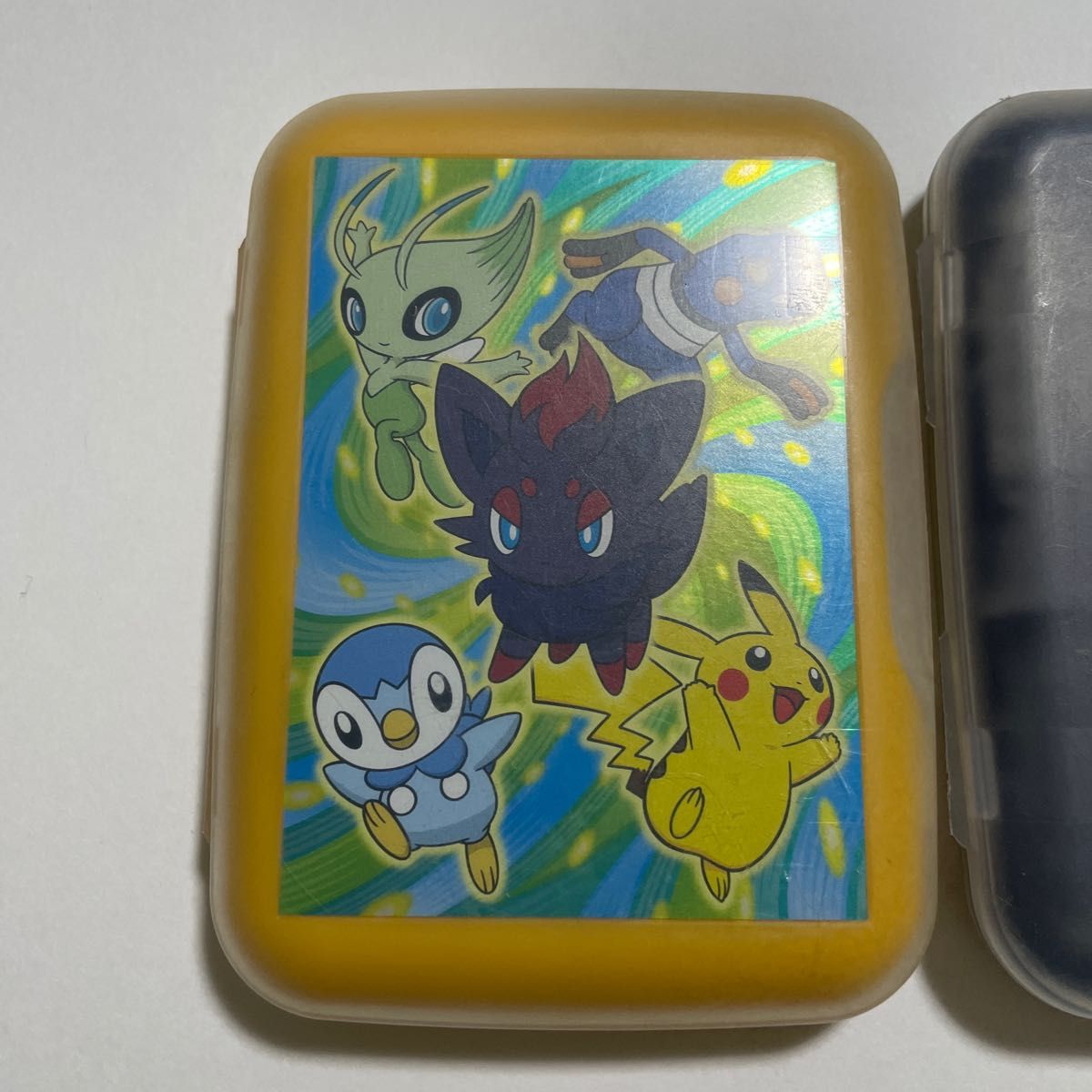 ポケットモンスター　DSソフトケース