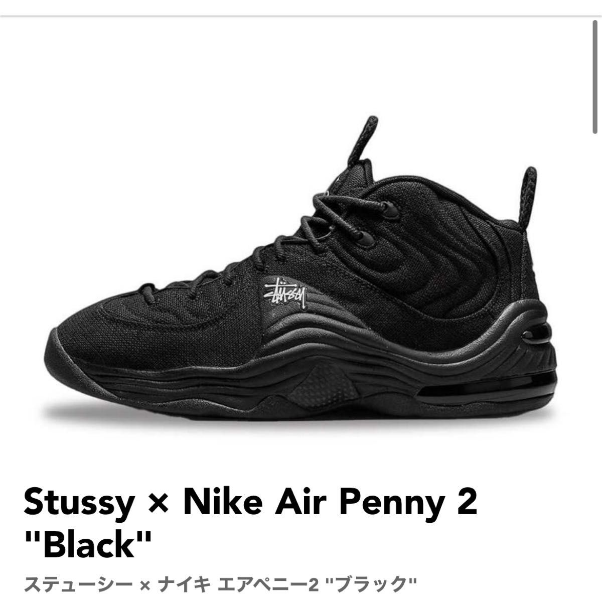 数量限定・即納特価!! ナイキ エアペニー2 Nike Air Penny 2 Stussy