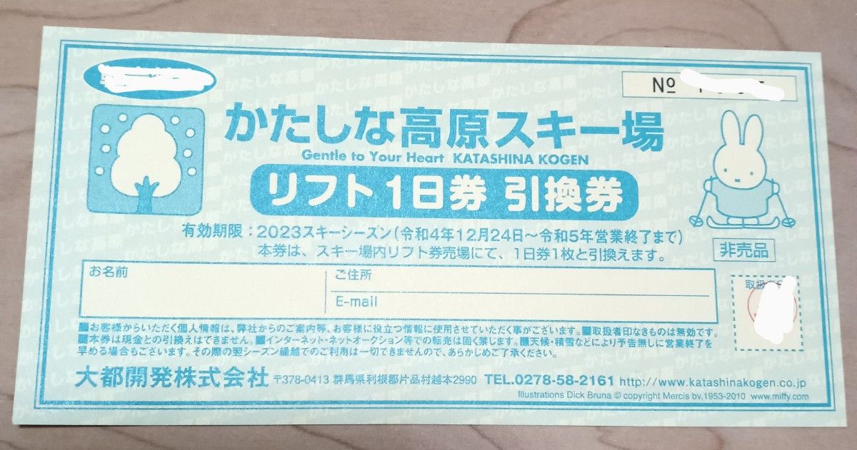 かたしな高原スキー場　リフト券引き換え券　２枚（駐車場無料チケット付） 今シーズンも「平日限定リフト券パック」がちょーお得 関東唯一
