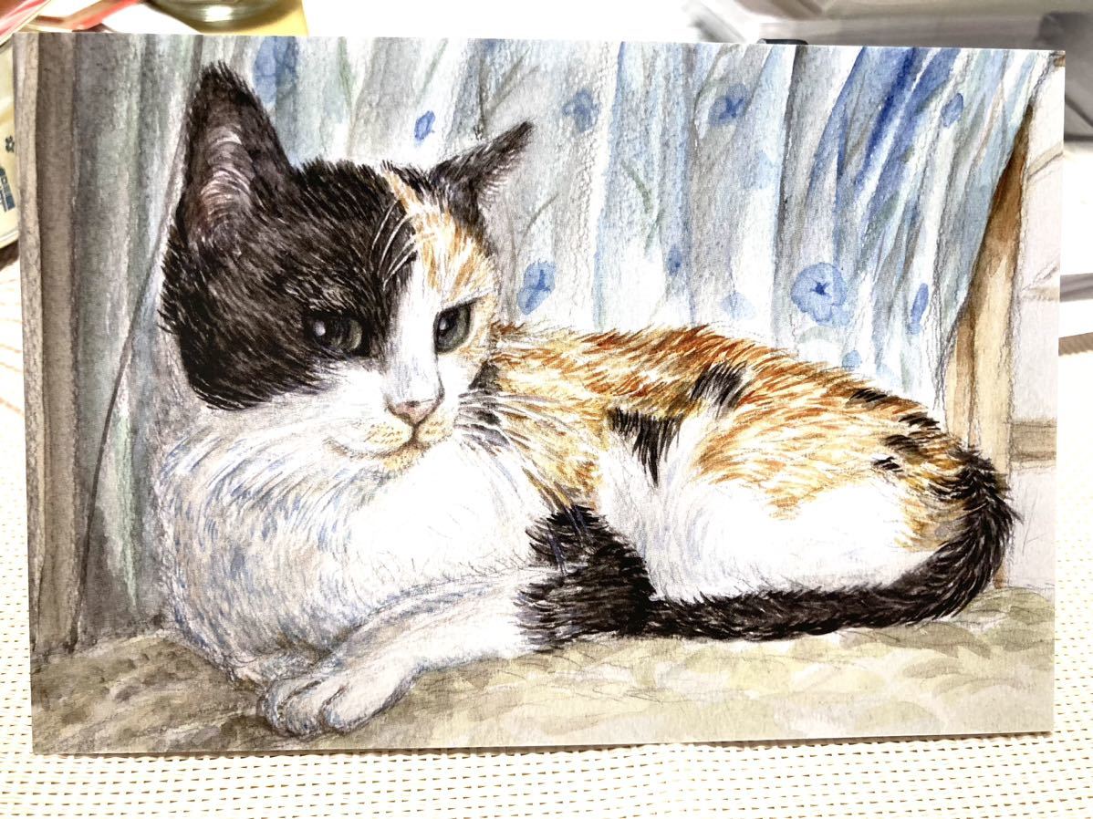  оригинал ручные иллюстрации открытка шоко Chan ⑦ три шерсть кошка акварельная живопись . производства [......]