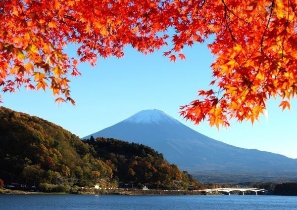 もみじ富士 富士山 河口湖 紅葉 絵画風 壁紙ポスター 特大A1版830×585mm（はがせるシール式）026A1_画像1