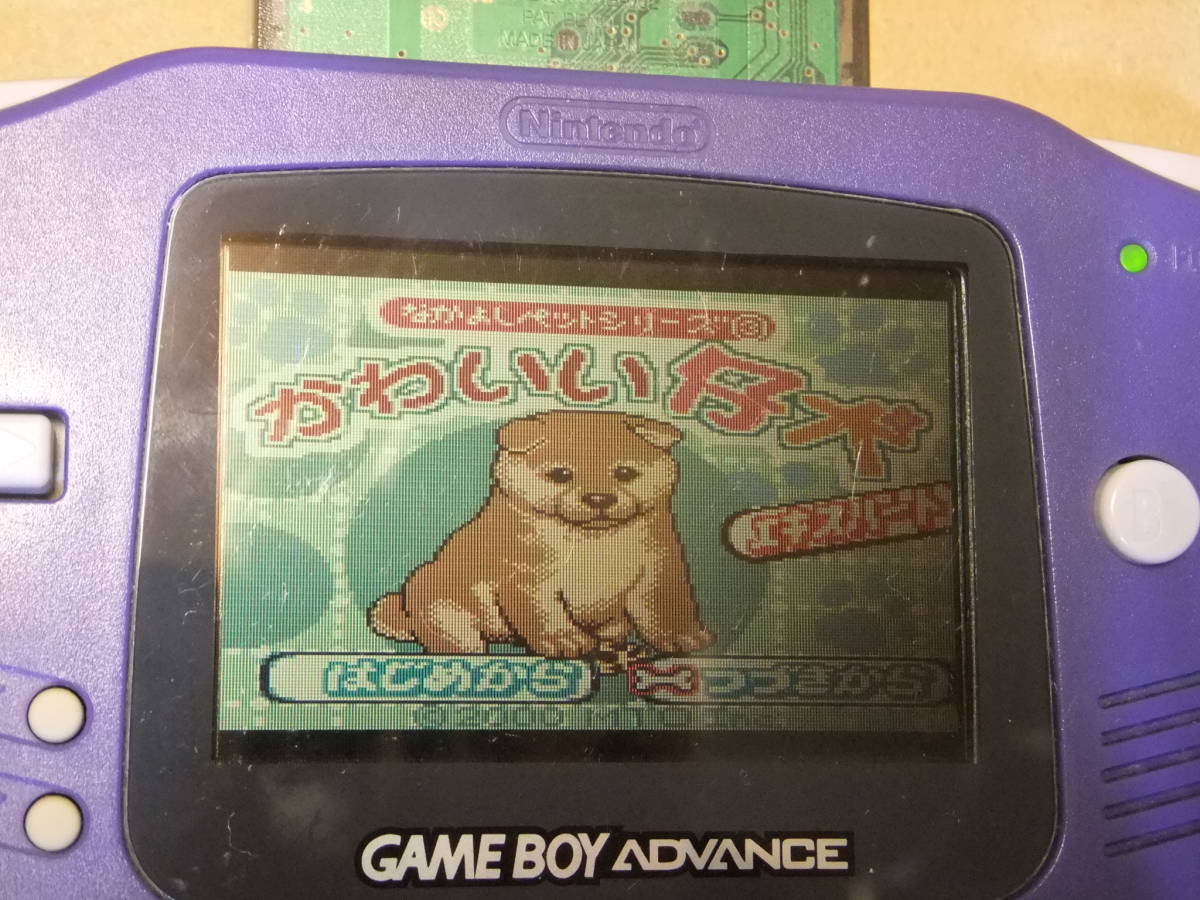 GBC かわいい仔犬 （ソフトのみ）の画像4