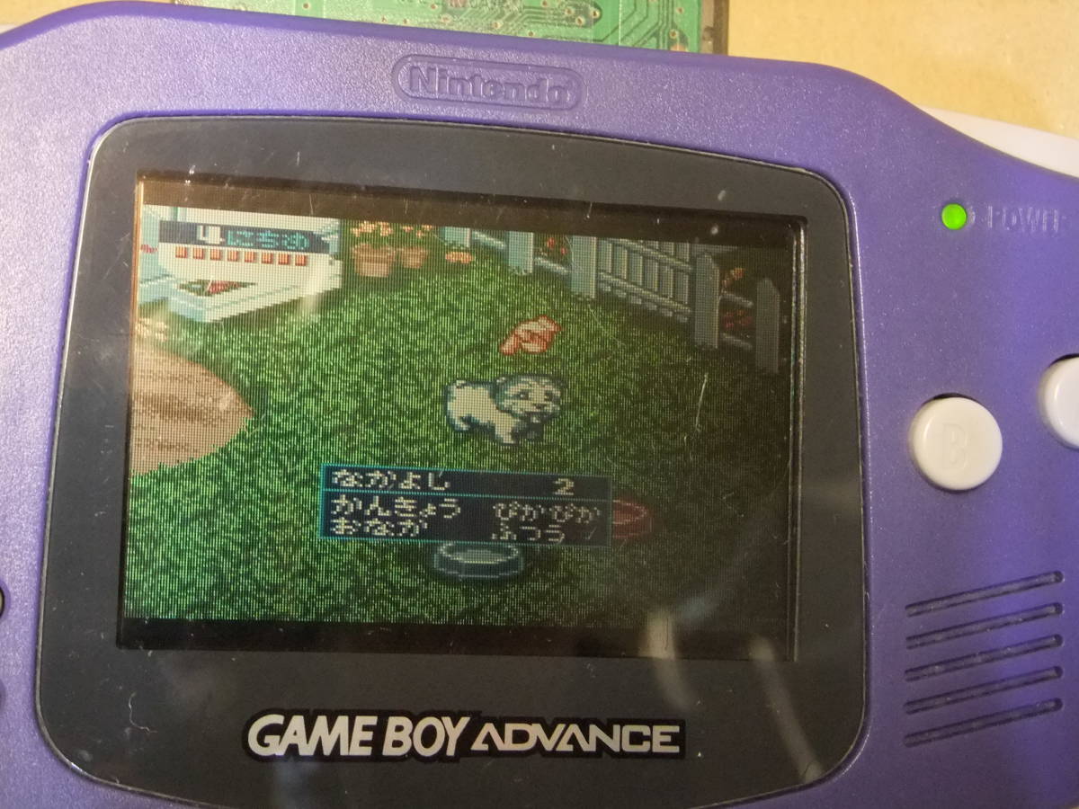 GBC かわいい仔犬 （ソフトのみ）の画像5