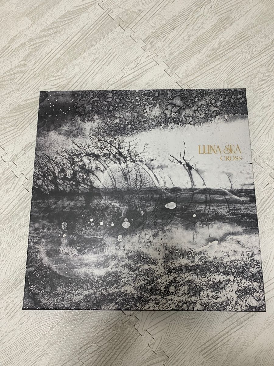 LUNA SEA CROSS SLAVE限定PREMIUM BOX B｜Yahoo!フリマ（旧PayPayフリマ）