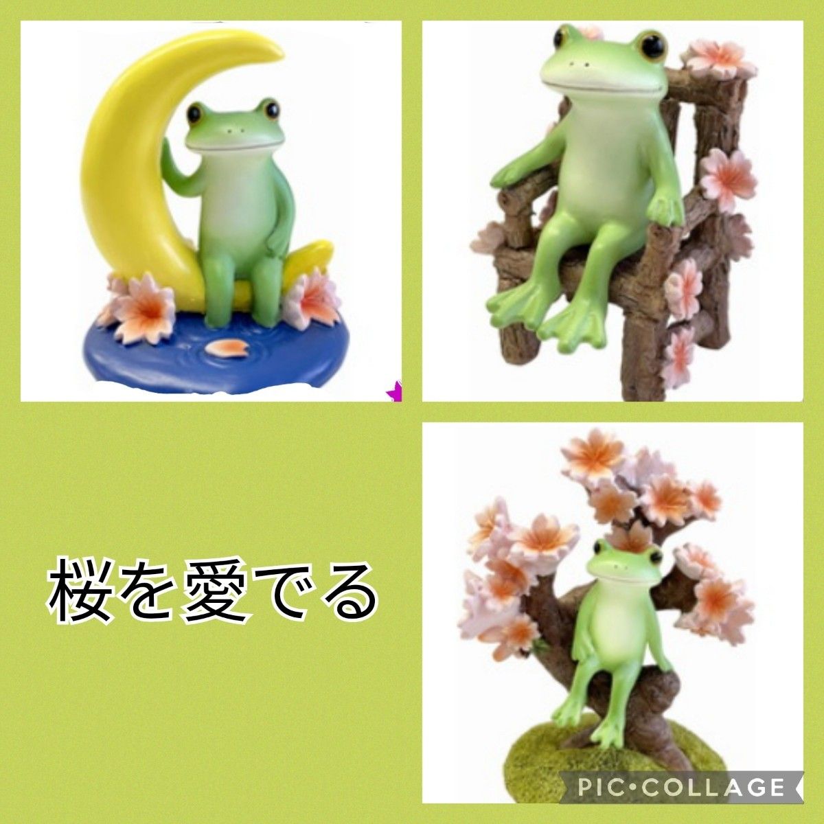 ラッピング対象外 【23SS新商品・コポー】コポー 春の桜を愛でる