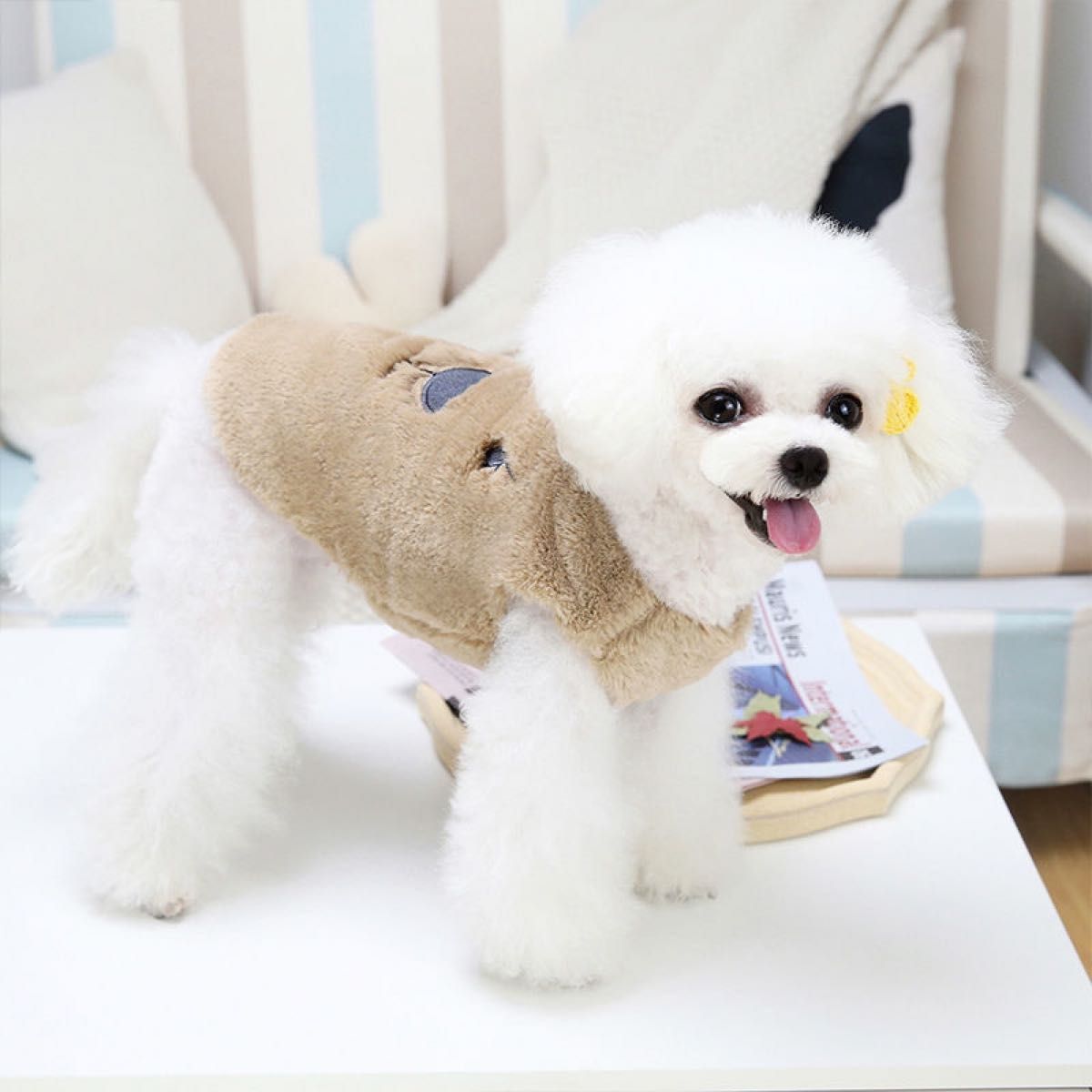 もこもこ　ペット服  犬服くま柄 くまちゃんドッグウェア 可愛い犬の服 ホワイト S