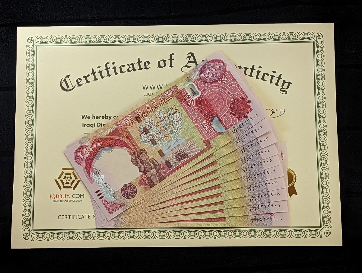 新札】25,000イラクディナール紙幣 5枚 - asca.edu.do