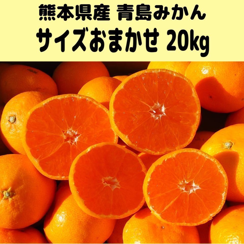 人気TOP 熊本県産 青島みかん 箱込20キロ 専用 ubat.fr