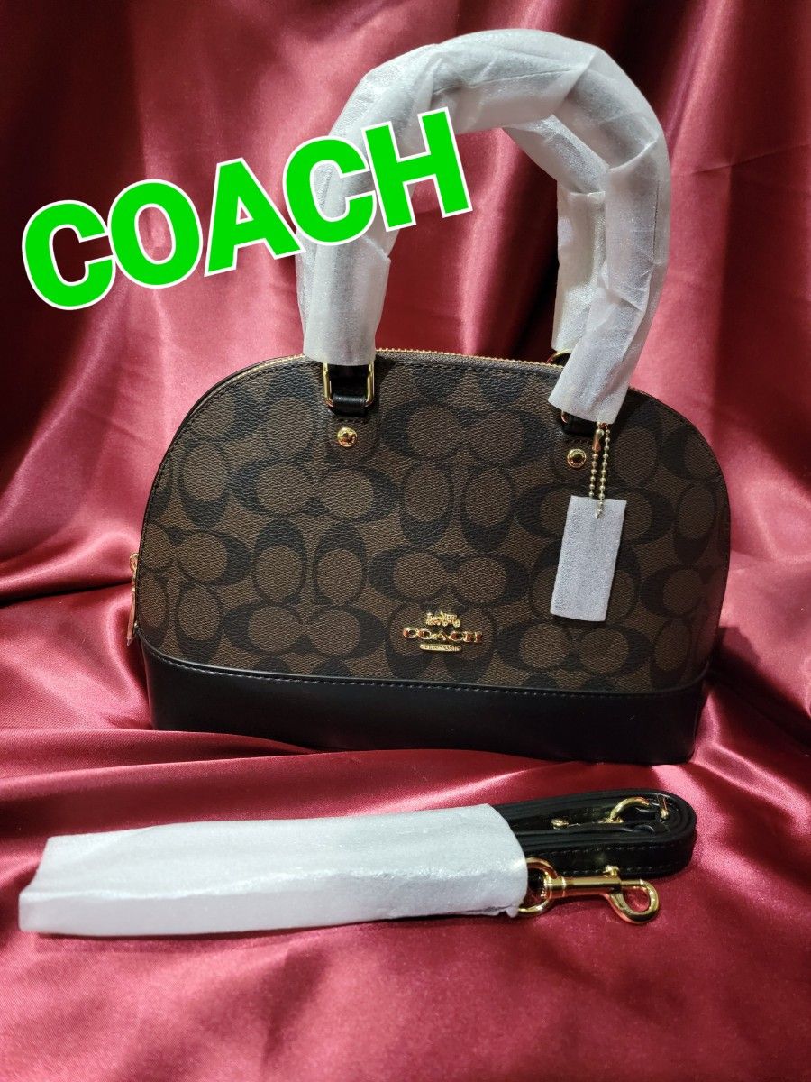 HOT即納 COACH コーチ ミニショルダーバッグ（保存袋付き） Df8PT