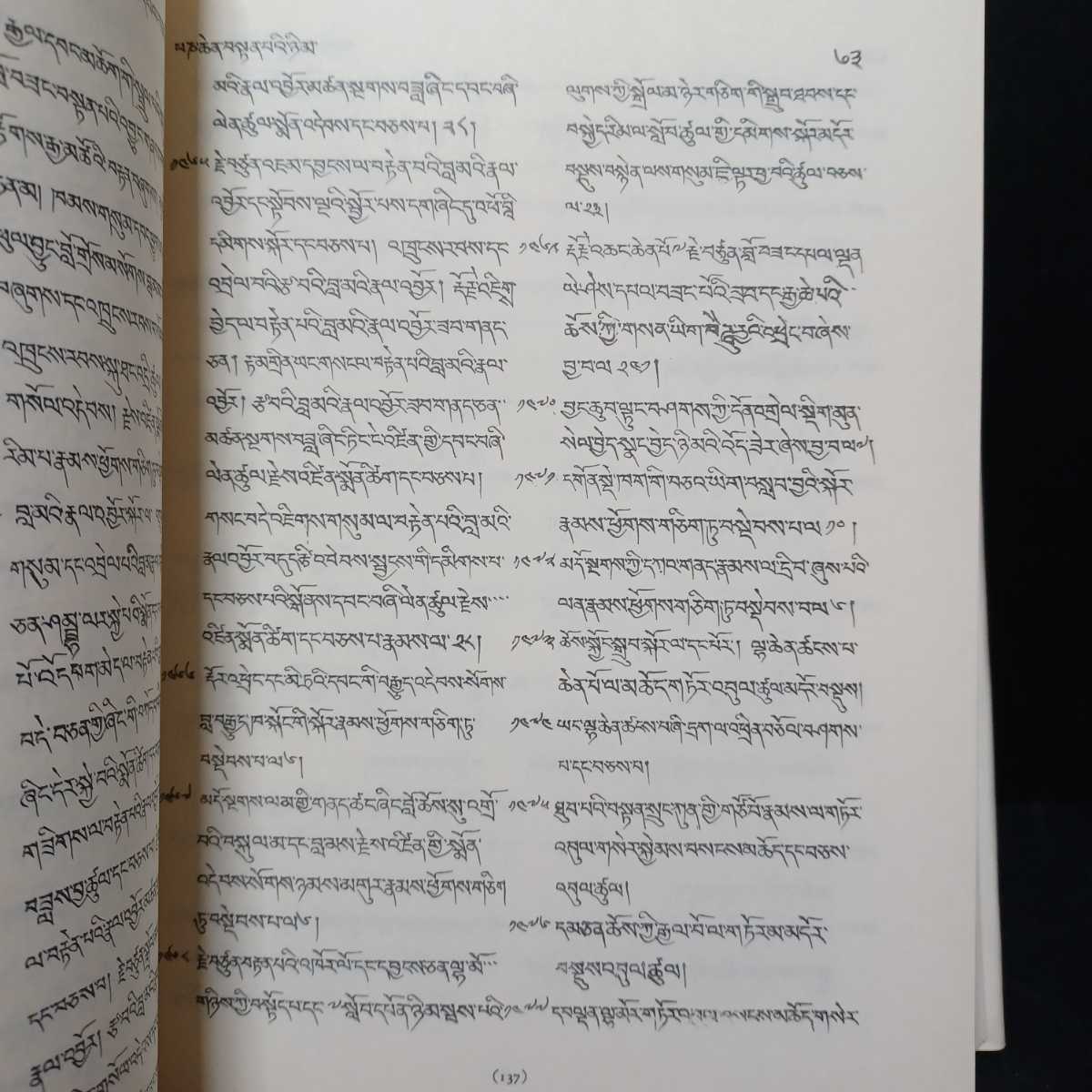 「西蔵学文献史　全1冊　縮刷復刻版　Materials for a History of Tibetan Literature」ロケッシュ・チャンドラ　_画像9