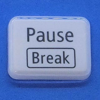  keyboard key top Pause Break white gloss personal computer NEC LAVIEla vi button switch PC parts 2