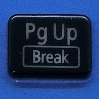  keyboard key top Pg Up Break black gloss personal computer NEC LAVIEla vi button switch PC parts 2