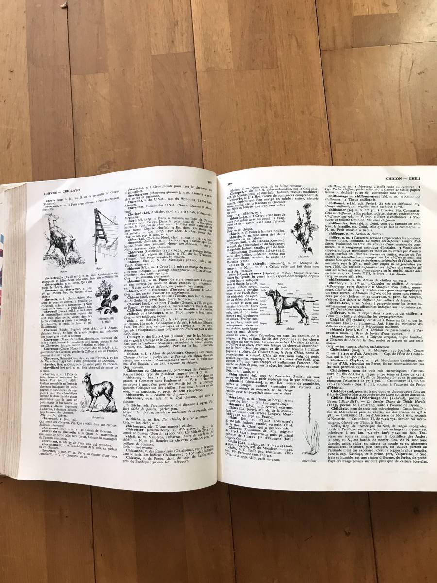 1028B アンティーク、日常辞典キエフラマリオン(Le Quillet 1028B アンティーク、日常辞典キエフラマリオン(Le Quillet